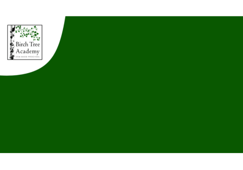 Birch Tree Academy
