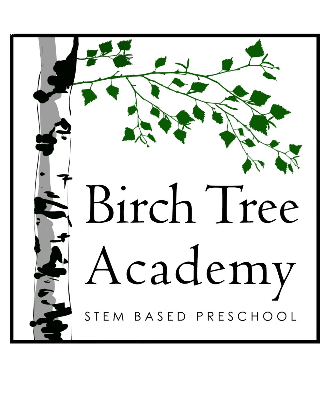 Evergreen - Birch Tree